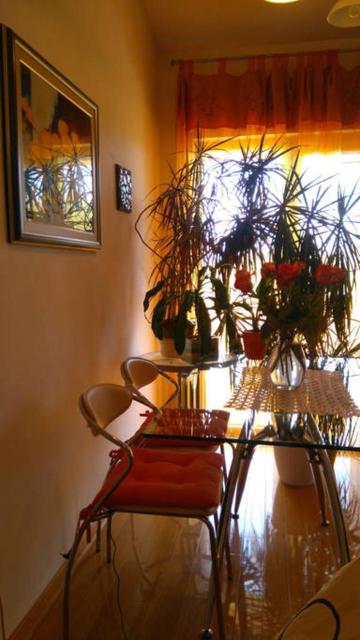 APARTMENT IVA 2