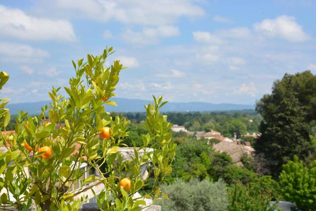Le Petit Chateau