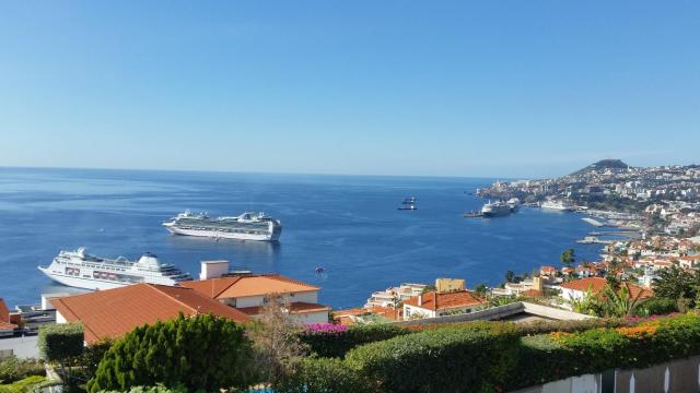 Charming Apartments in Funchal - São Gonçalo