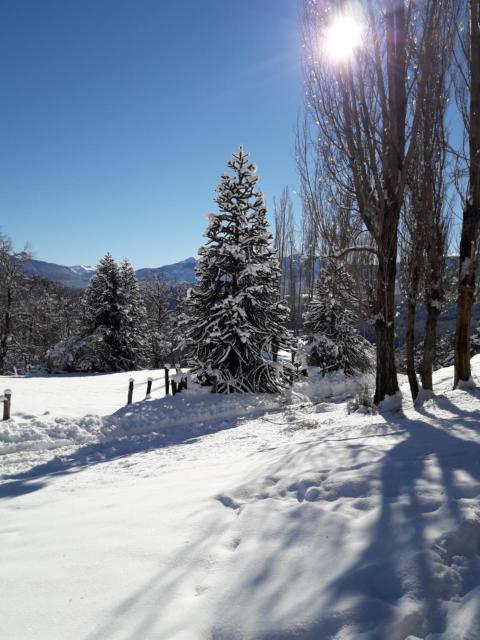 El Cipresal- Cabaña Epuyen