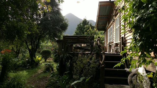 Boutique Vintage Forest Cabin
