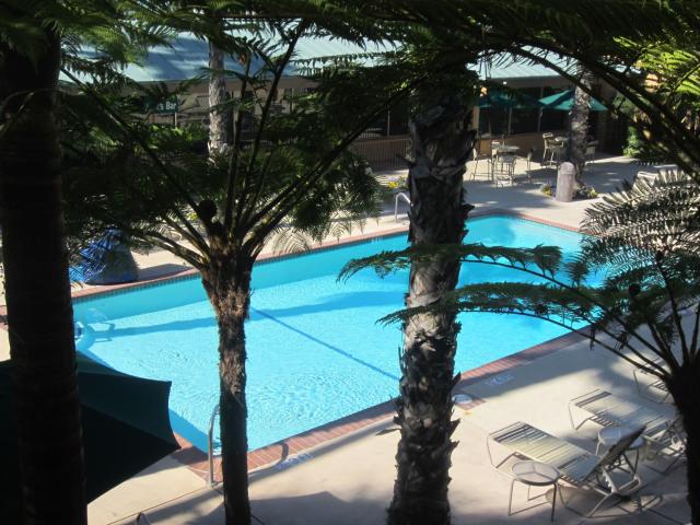 Best Western Seven Seas