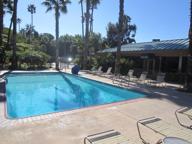 Best Western Seven Seas