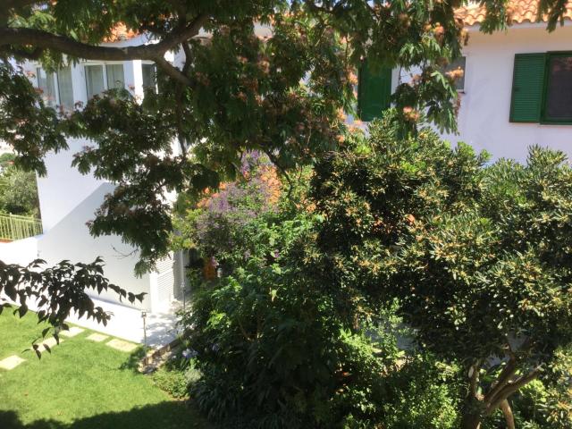 Villa Yiannis (Adult Friendly)
