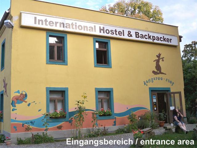 Hostel kangaroo-stop