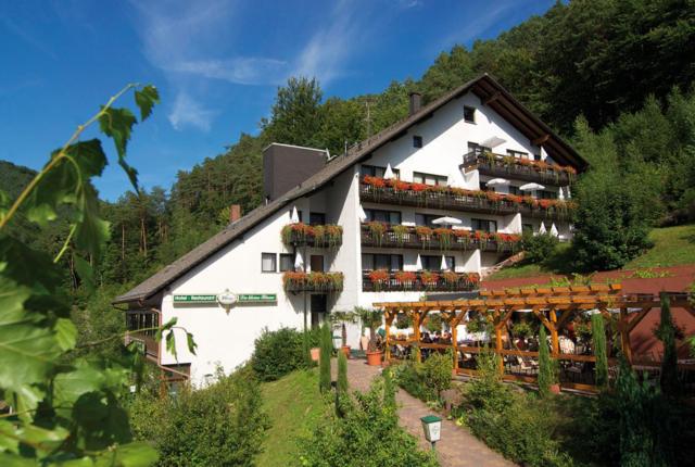 Hotel Die Kleine Blume
