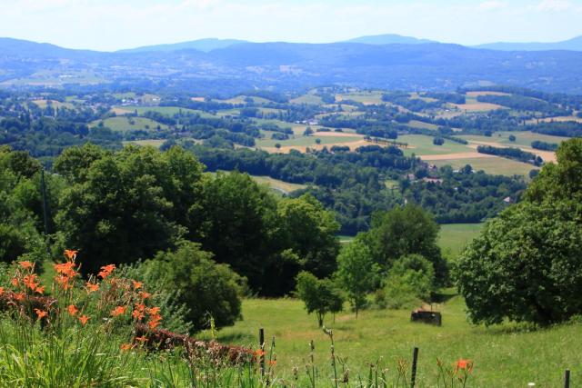 LA SOURCE Jacquet depuis 1954 Hôtel et Studio