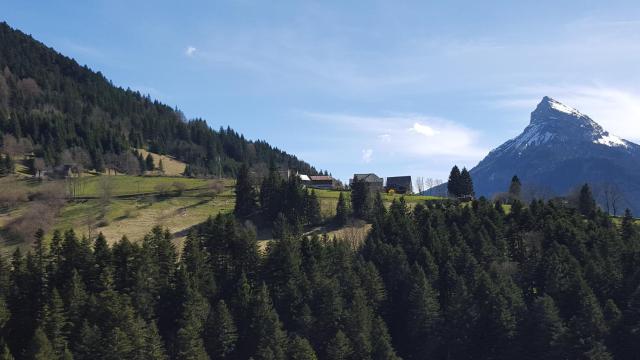 Hotel Victoria