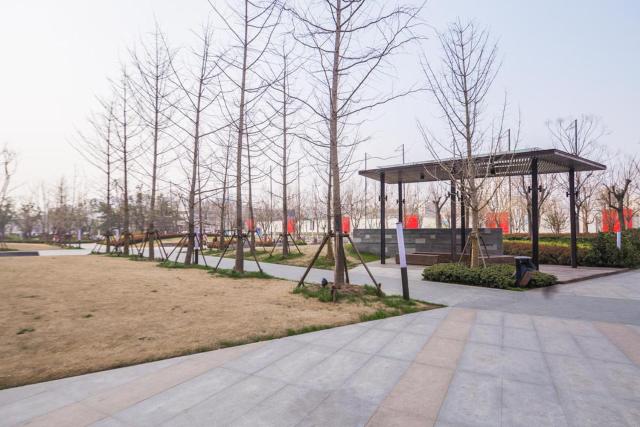 Zhengzhou Gaoxin·Zhengzhou University New Zone· Locals Apartment 00147170
