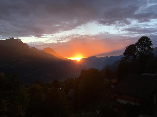 Chalet Orchis