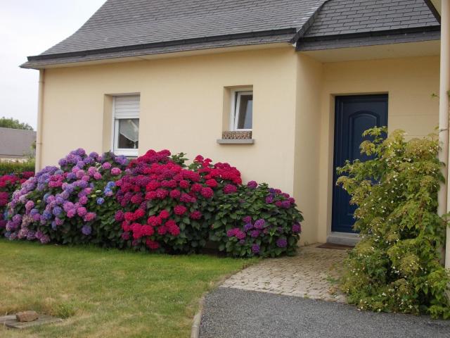 Chambre d'hôtes - La Maison de Jane