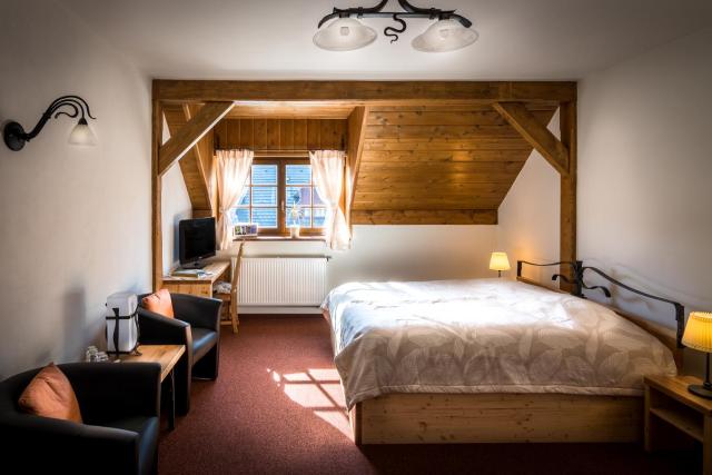 Wellness Hotel Holzberg - krytý relaxační bazén, dětský bazén, whirlpool, sauna, restaurace, bowling, venkovní hřiště, herna, pingpong, billiard