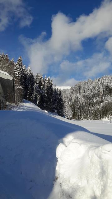 Haus Amade