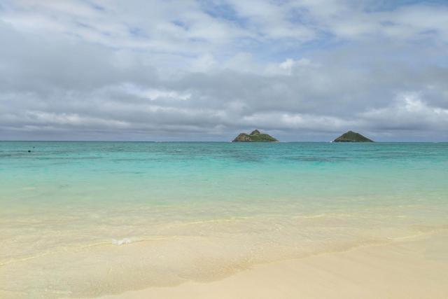 Island Colony 4108