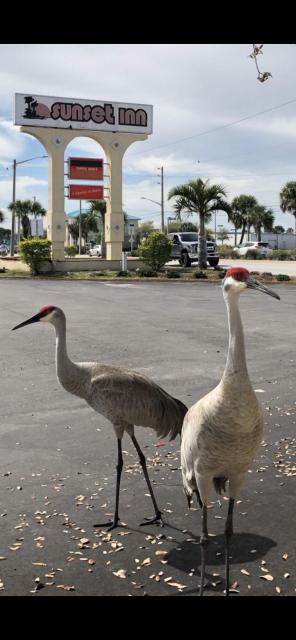 Sunset Inn- Fort Pierce, FL
