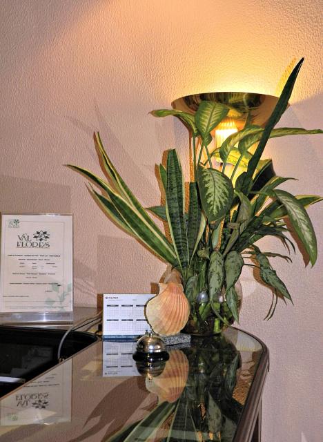 Hotel Val Flores