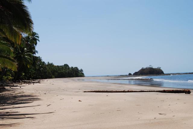 El nido del tucán