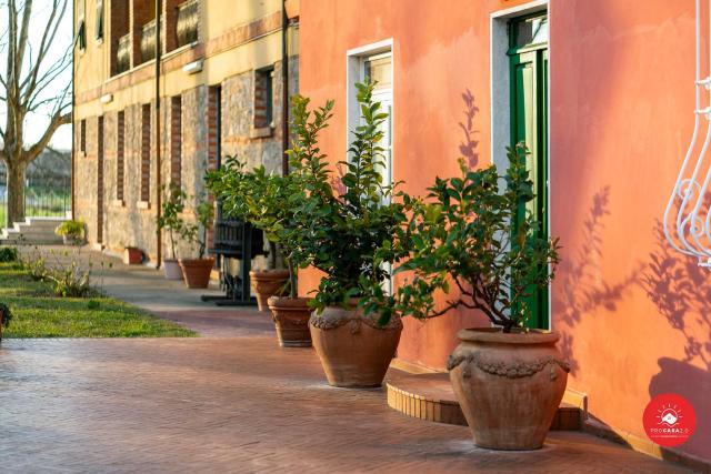Fattoria Battilana
