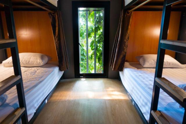 Comfy Bed Hostel