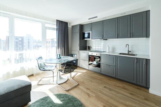 Spacious apartment close to the Old Town