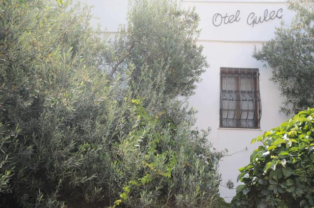 Hotel Gulec
