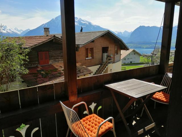 Niesenblick