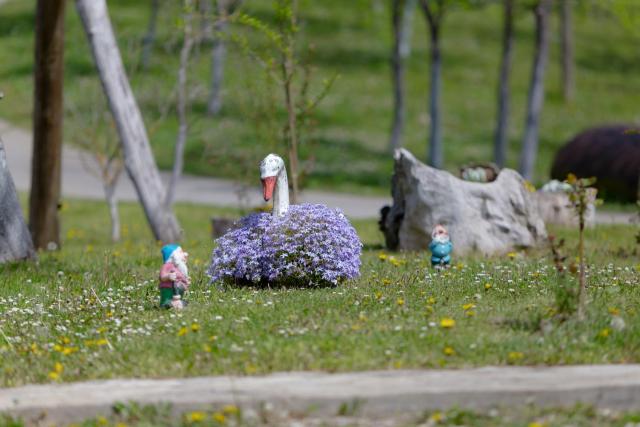 Peace of Nature