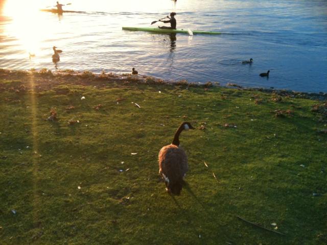 Apartment Alster
