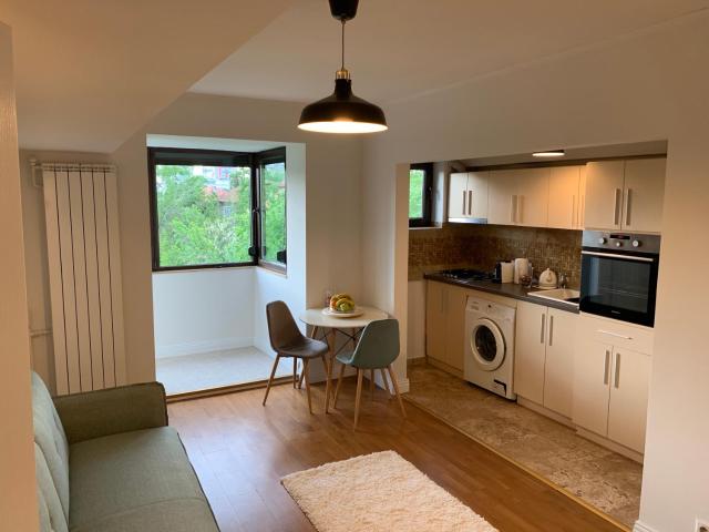 Floreasca Apartment Bach