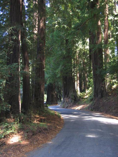 Pescadero Creek Inn