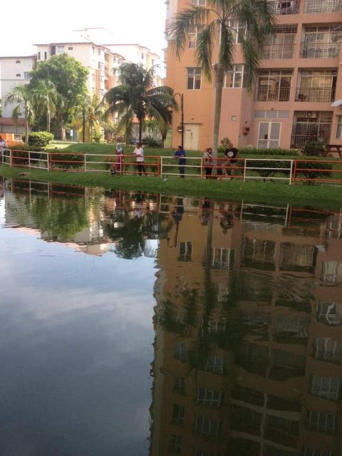 Homestay Mantin Selesa, Unit at Ground floor & In front swimming pool