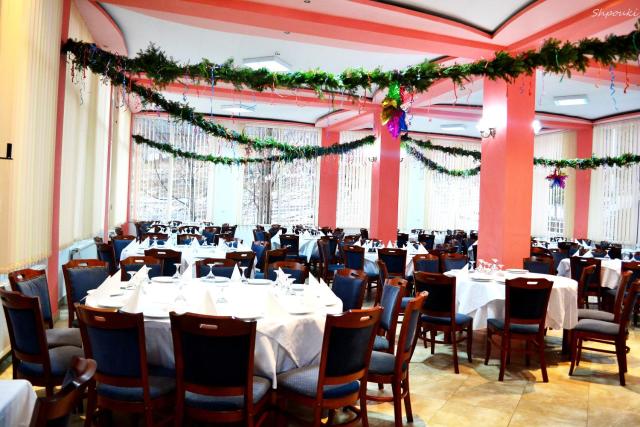 Hotel Bradul