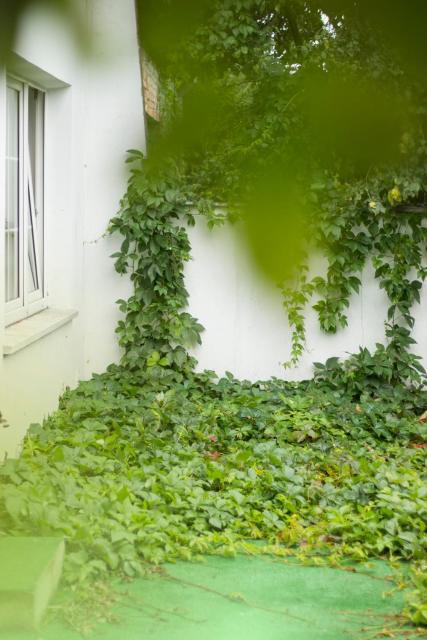 Magic Garden Hostel