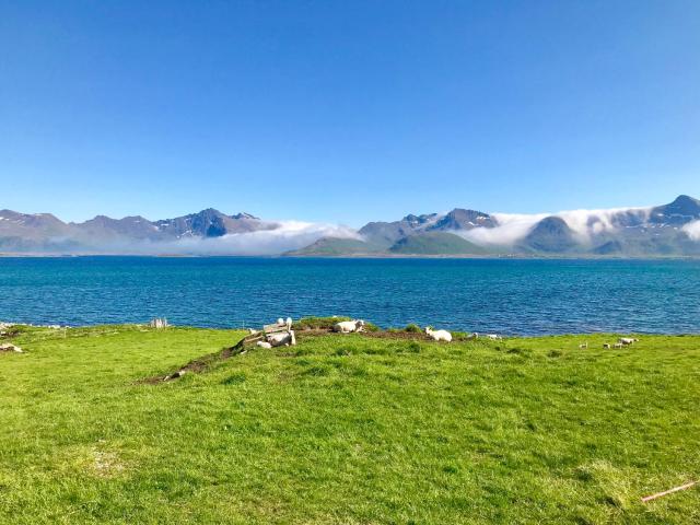 Lofoten Bay View