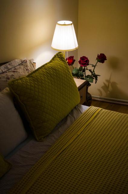 Collosal Apartment with Garden