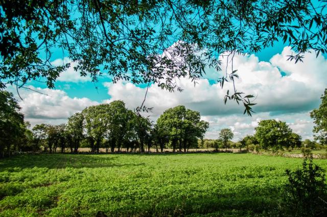 Corrib View Farmhouse