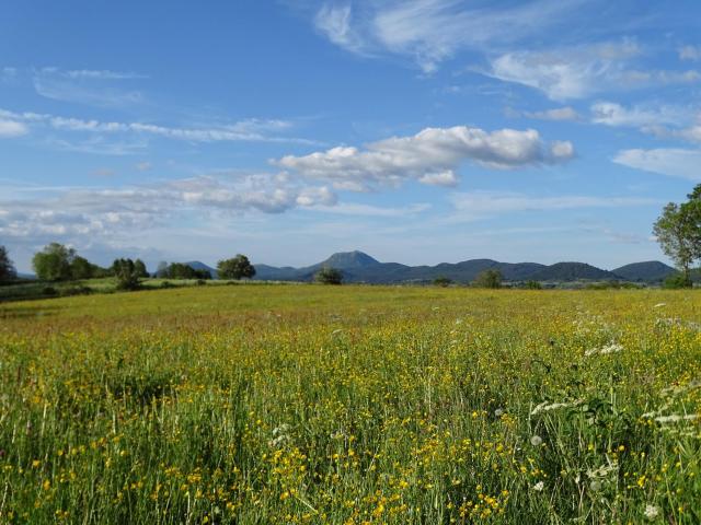 LOGIS LAS CROZAS La Cocotte