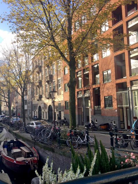 B&B Looier