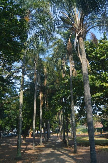 Essenwood Park Hotel