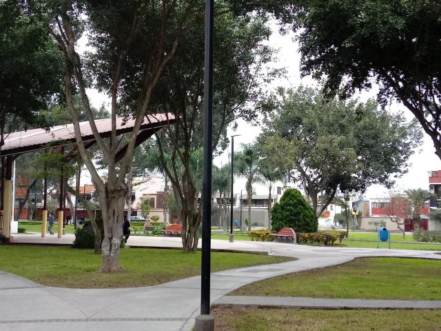 Sucesac