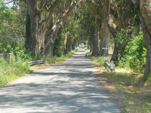 Pescadero Creek Inn
