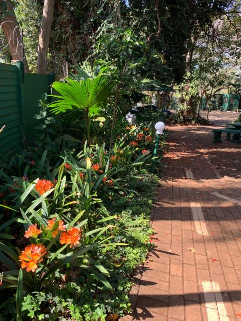 Villa Grande Lodge