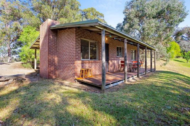 Braeside Cabin Three Parsonsia