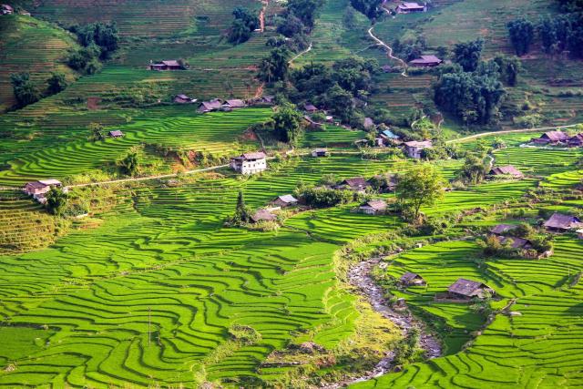 Hmong Sister House and Trekking