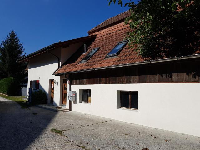 Apartment Dorfstrasse 16