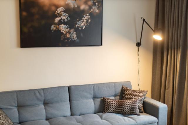 City center Gauja apartment