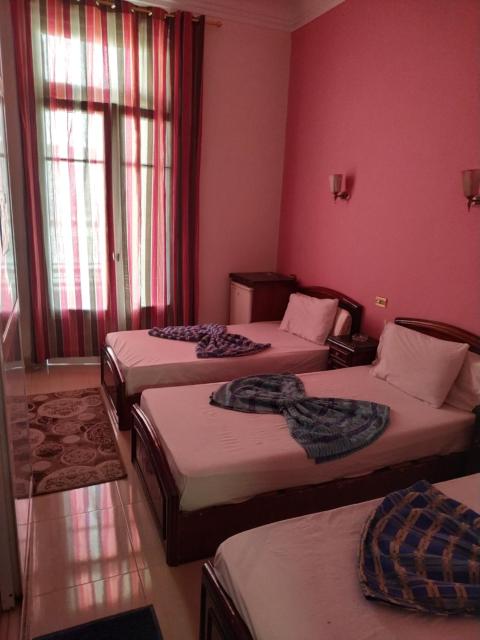 Garden View Hostel