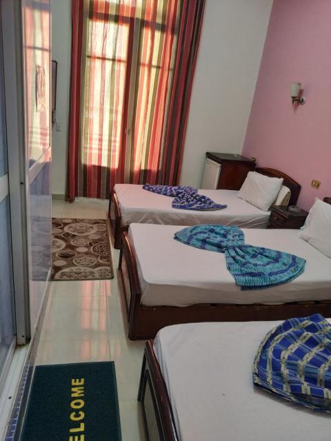 Garden View Hostel
