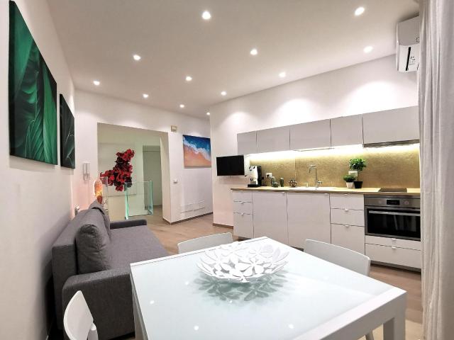 Betta splendens