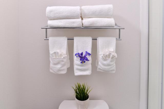Holiday Inn Express & Suites San Diego - Mission Valley by IHG